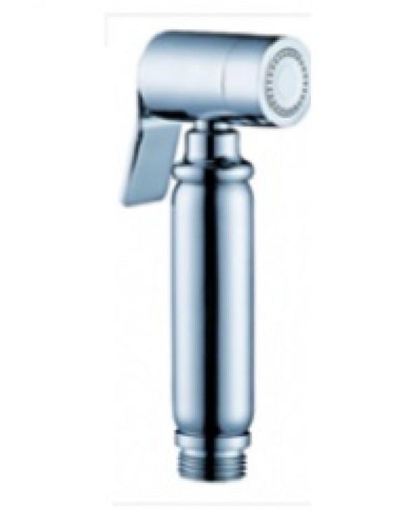 BARENO Plus Brass Hand Bidet Spray Set BDS11 