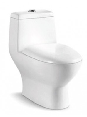 ZELLA W/Down 1Piece Water Closet S Trap 250mm (White) C-630 