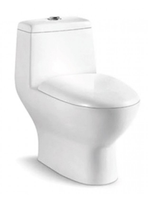 ZELLA W/Down 1Piece Water Closet S Trap 250mm (White) C-630 