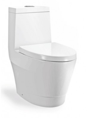 ZELLA Wash Down 1Piece Water Closet S Trap250mm(White) C-622