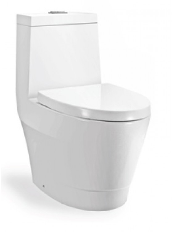 ZELLA Wash Down 1Piece Water Closet S Trap250mm(White) C-622